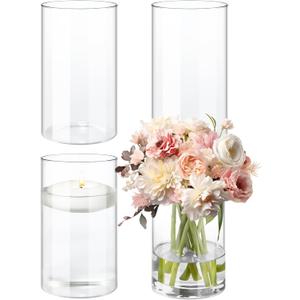 Glass Cylinder Vases 4 Pack Clear Flower Vase for Centerpieces 6 Inch Clear Wedding Hurricane Glass Vase Floating Candle Holder for Home Table Decor