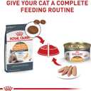 ROYAL CANIN Feline Care Nutrition Hair & Skin Care Adult Dry Cat Food, 6 lbs. (BBD: 20 FEB 2026)