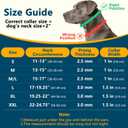 Crazy Felix No Pull Martingale Collar for Large Medium Small Dog Pitbull German Shepherd Doberman, Dog Collar Anti Pull with Buckle for Training Walking (Black, M/L-Neck 15-17", 1" Wide)