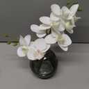 Oairse White Orchids Artificial Flowers Faux Orchid Arrangement with Black Glass Vase 1 Pack Real Touch Phalaenopsis Orchid Flowers Orchid Centerpiece for Dining Room Table