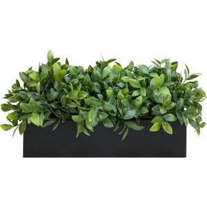Winlyn 14" Artificial Boxwood Plant Greenery Arrangement Faux Boxwood in Black Rectangular Wooden Planter Potted Herb Plant for Farmhouse Home Decor Wedding Windowsill Mantel Shelf Table Centerpiece