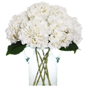 Kimura's Cabin 6pcs Faux White Hydrangeas Fake Flowers Artificial Silk Hydrangea Flower With Stems Bouquets Arrangement for Home Table Centerpieces Wedding Baby Shower Birthday Party Decoration(White)