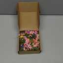 6 Pcs 1.38" Mini Spring Taper Candle Rings Wreaths Small Artificial Pink White Daisy Flower Taper Candle Holder Wreath Purple Wild Flower Summer Floral Pillar Holder Wreath for Candlesticks Decor