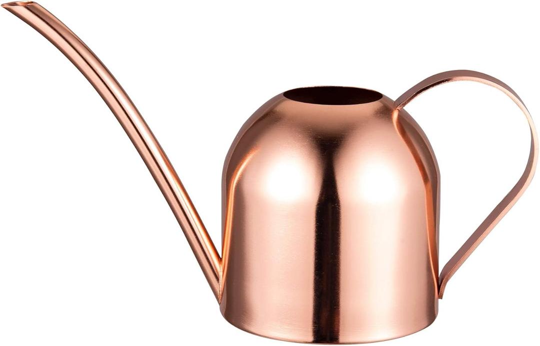 IMEEA Small Watering Can for Indoor Plants Stainless Steel Indoor Watering Can with Long Spout, 15oz/450ml (15oz (Rose Gold))
