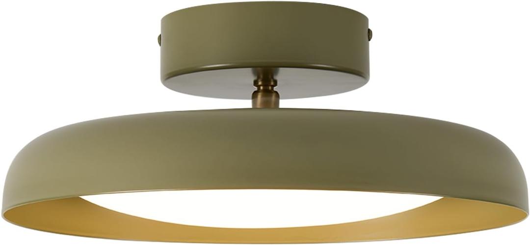 BISAMIYA Modern LED 12.6 inch Ceiling Light, Adjustable Semi Flush Mount Ceiling Light Fixture, Brass Accent, for Hallway, Kitchen, Entryway, 18W 3000K Warm White (Green)
