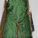 Rowfad 12 Pcs Artificial Norfolk Pine Branches, Norfolk Pine Artificial Pine Stems DIY Crafts Faux Christmas Greenery Norfolk Pine Branches for Xmas Wreath Garland Home Decor (12)