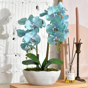 Large Artificial Potted Orchid Plant, Silk Flower Arrangement with Ceramics Vase, Golden Blue