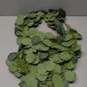 DearHouse 2pc Artificial Eucalyptus Garland Faux Silk Eucalyptus Leaves Vines Handmade Garland Greenery Wedding Backdrop Arch Table Decor, 6.1ft/pc