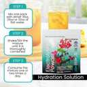 PowderVitamin Electrolytes Powder Plus (50 Servings) Black Tea Ginseng Electrolyte Powder Keto, Sugar Free, Pink Himalayan Salt,1000mg Potassium,120mg Calcium,120mg Magnesium, Hydration Powder