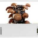 FVPJUXSG Smart Mushroom Monotub Grow Kit,with Grow Light Automatic Humidification & Exhaust Indoor Mushroom Growing Box Temperature Display Fresh Air System