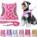 Moonpet Step in Boy Dog Harness Leash Set- All Weather Reflective No-Pull Padded Mesh Vest Harness for Cats Puppy Extra-Small Small Medium Large Dogs - Blue Camouflage - L (L:neck 17.3-22,chest 22-27.2)