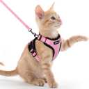 rabbitgoo Cat Harness and Leash for Walking, Escape Proof Soft Adjustable Vest Harnesses for Cats, Easy Control Breathable Reflective Strips Jacket, Pink, XXS