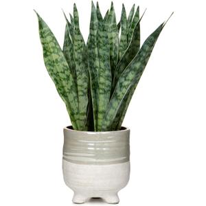 Hollyone Fake Snake Plant 12 Inch Small Artificial Snake Plant Potted with Ceramic Pot Faux Sansevieria Plant for Home Office Room Indoor Decor Housewarming Gifts