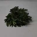 6.56 ft Christmas Artificial Olive Vine with Pine Garland with 9.84 ft LED Fairy Lights Battery Operated Green Dense Artificial Vines for Table Runner Center of Holiday Wedding Arch Party Mantle