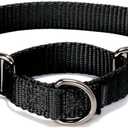 PetSafe Martingale Dog Collar Medium, 1 Inch, Black