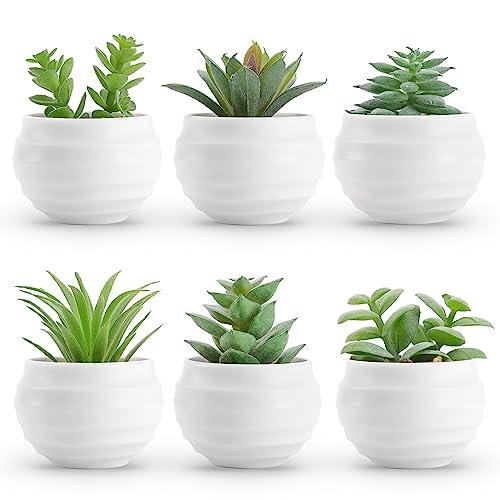 Der Rose Set of 6 Succulents Plants Artificial in Pots Small Fake Plants for Bedroom Aesthetic Living Room Shelf Bathroom Decor Office Desk Accessories
