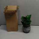 AlphaAcc Artificial Plants Potted Real Looking Small Faux Plant with Rustic Black Cement Planter for Kitchen Office Desk Bookshelf Decor (Ficus Plant)