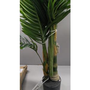 Fake Plant