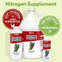 Nitrogen for Plants – Liquid Fertilizer for Deep Green Growth, 32 oz (EXP 11/18/26)