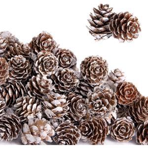 Deloky 150 Pcs Christmas Natural Mini Pine Cones- 1" Small Christmas Snow Pinecones Ornaments- Thanksgiving Mini Snow Pinecones for DIY Crafts Vase Fillers Fall Winter Home Christmas Tree Decor