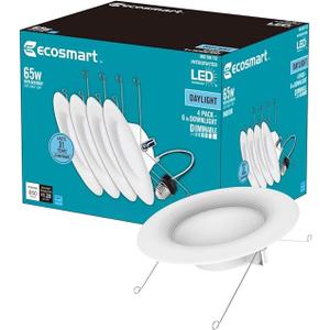 EcoSmart 5/6 in. Daylight Integrated LED Recessed Trim (4-Pack)