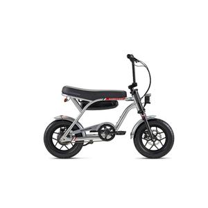 Schwinn Hurrican E-Bike - Silver Grey, 14 in 