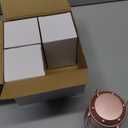 Lichamp LED Camping Lantern, 4 Pack Battery Powered Flashlight for Power Outages, Portable Collapsible Hanging Light Essential for Home, Outdoor, Emergency Lamp Survival Kit Gear for Hurricane, C3 (Silver, Gold, Rose Gold, Burgundy)