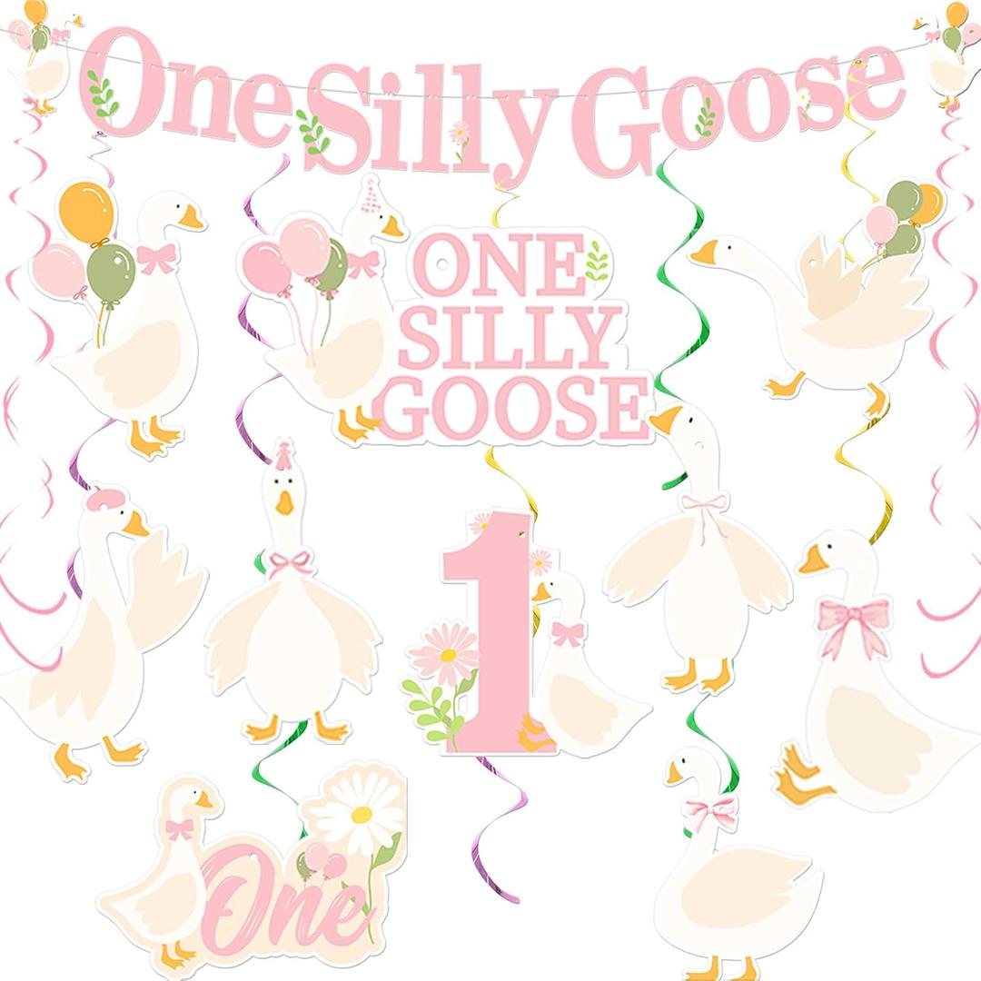 One Silly Goose Party Decorations for 1st Girls First Birthday Banner and Hanging Swirl Decorations Pink Goose Party Supplies for Baby Girl 1st Birthday Photo Backdrop Party Decor