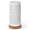 Earnest Living Waterless Diffuser 100ml Nebulizing Diffusion System for Large Ambient Space Studio Home Office Hotel Spa