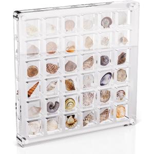 Acrylic Seashell Display Box - 36 Grid Clear Acrylic Seashell Display