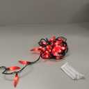 35 LED Red Chili Pepper Christmas Lights, Commercial Grade Home Decorative Lighting String Green Wire 18 FT, for Kitchen, Living Room, Party, Garden, Patio.