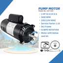UST1202 2HP Replaces Century/AO Smith Swimming Pool Pump Motor for Hayward Super, Max Flow, Northstar, Ja-cuzzi Magnum Pump, C48M2N111 SP1615Z1M B230, 2 Horsepower 115/230V 56J Frame with Seal Kit