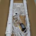 LIGHTSHARE 4 Feet Birch Tree, 48 LED Lights, Warm White, for Home, Festival, Party, and Christmas Decoration, Indoor and Outdoor Use