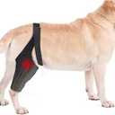 Noorace Dog Knee Brace for Torn ACL/CCL & Hind Leg Support - Adjustable Brace for Arthritis Relief, Joint Stability & Injury Recovery - Fits Small & Medium Dogs