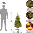 National Tree Company 4 ft Pre-Lit Grande Canadian Fir Mini Artificial Christmas Tree, 100 Clear Lights, 230 Tips, Includes Stand, Green