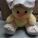 Holiday Spring Raindrop Chick with Hat Plush - Pink (12 in)