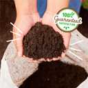Back to The Roots 25.7qt (1 Cubic ft) Organic Premium Blend Garden Soil