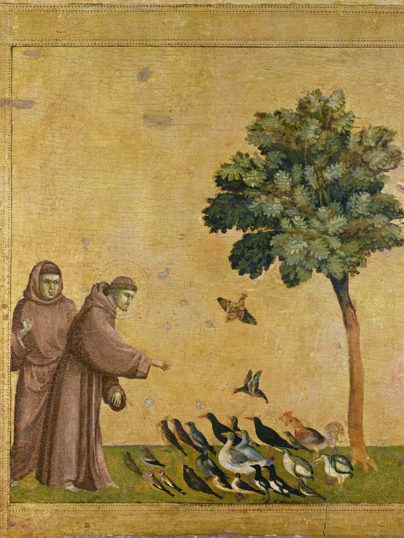 Art.com Wall Giclee Print St. Francis of Assisi Preaching to the Birds by Giotto di Bondone, 24" x 32"