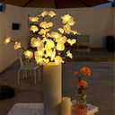 Fantasee White Orchid Twig Lights, 30 Inch 20 LED Artificial Phalaenopsis Branch Lights Battery Powered Decor Lights for Home Shop Windows Vase Wedding Christmas (2 Packs, Whtie)