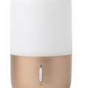 Diffuser for Essential Oils - Ultrasonic Aroma Diffuser with 2 in 1 100ml and 500ml Dual Capacity, Matte Gold