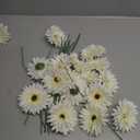 20 Pcs Fake Silk Gerbera Daisy Artificial Flowers with Stems Faux Daisies Flower Bulk for DIY Art Crafts Home Wedding Party Vase Centerpieces Tables Garland Wreath Decoration (White)