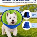 Dog Cone Collar,M (Blue)