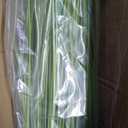 Jexine 2 Pieces Faux Plants Outdoor 4 ft Horsetail Reed Grass with Yellow Cockscomb Flower Tall Artificial Grass Plant Potted Faux Greenery Floor Plant for Housewarming Gift House Garden Lobby Outdoor
