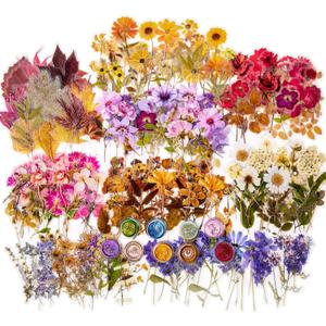 emmoolife Pressed Flower Stickers Set (380 PCS) Dried Flowers Themed Resin Sticker Decals Floral Botanical Journaling Stickers for Scrapbook Supplies Bullet Junk Journal Bottles Planner Laptops