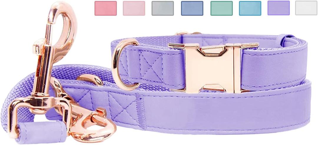 Soft Leather Dog Collar and Leash (6.6') Set - Stylish Rose Gold Heavy Duty Metal Buckle, 4 Adjustable Lengths Leash for Small Medium Large Dogs - Comfortable & Easy to Clean (M, Light Purple)