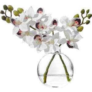 Artificial White Orichid Artificial Flowers in Clear Glass WaterFilled Vase  Silk Fake Plants Table Centerpiece for Home, Shelf, Office & Dining Decor, MaintenanceFree