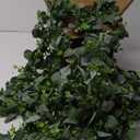 Dolicer 6 Packs 6FT Artificial Eucalyptus Garland, Faux Greenery Garland Fake Vines Hanging Silver Dollar Eucalyptus Leaves for Wedding Backdrop Arch Table Wall Party Home Decor (Grey Green With White Seed)