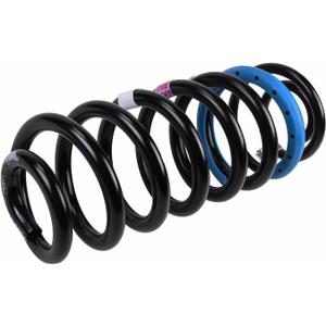 GM Genuine Parts 23154237 Rear Coil Spring