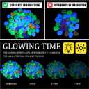Sasylvia 3000 Pcs Glow in The Dark Rocks 1 Inch Glow Rocks 12.6 LB Garden Glow in The Dark Stone Outdoor Glow in The Dark Pebbles for Landscaping Walkway Pathway Backyard Fish Tank Plant(Multicolor)