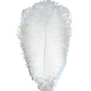 ADAMAI 100PCS Natural 11.8-13.7inch Ostrich Feathers Plume for Wedding Centerpieces Home Decoration (White)